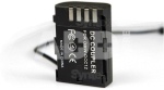 BLF19P-01