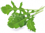 Click & Grow Smart Garden refill Arugula 3pcs