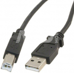 Caruba USB 2.0 | A Male   B Male | 2 meter