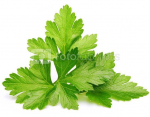 Click & Grow Smart Garden refill Coriander 3pcs