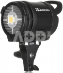 Quadralite continuous light VideoLED 600