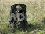 Tragopan Full Set G-Lynx Ghillie