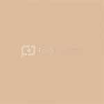 Falcon Eyes Background Paper 66 Wheat 2,75 x 11 m