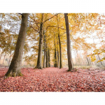 DIY teemantmaal Kaunis metsavaatega Teemanttikandid Mosaiik Ristpistes Rhinestone Decor 20X30CM