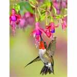 3D DIY teemantmaaling lind t&auml;isruudu teemanttikandid looma mosaiik lilled n&auml;put&ouml;&ouml; k&auml;sitsi valmistatud kingitus kodukaunistus Full Round 20X30CM punane