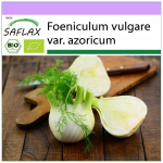 SAFLAX &ndash; mahe &ndash; Firenze apteegitill &ndash; 100 seemet &ndash; Foeniculum vulgare