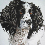 50X50CM 5D Teemantmaal T&auml;is&uuml;mar liblikas Teemanttikandid Loomad Ristpistes K&auml;sit&ouml;&ouml; Kunstkaunistus Avaleht Full Round 20x20CM