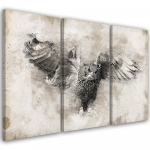 Kolmeosalise pildiga l&otilde;uenditr&uuml;kk Owl Birds Grey Vintage 60x40 hall v&auml;rv