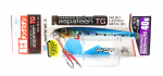 Jackall Metal Jig Raspateen TG Tungsten 40 grammi Iwashi (3752)