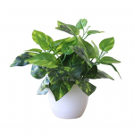 V&auml;rske kunstliku lehestiku taimepott Bonsai Party Mall Home Desktop Office Decor 2
