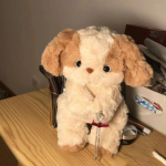 Head &ouml;&ouml;d kutsikanukk Palus m&auml;nguasi Lapsed magavad koos koeranukuga 30cm【0.16】