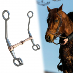 Horse Ring Bit Snaffle H Shape Practical Sturdy Harness Easy to Use Equestrian Supplies Full