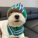 S&uuml;gis/talvine koerale kapuutsiga sall Talvine soe kuub Kaisukarud &Scaron;nautser V&auml;ike villane rinnat&uuml;kk Koerte m&uuml;tsid Kutsika Aksessuaarid S