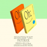 (ETTETELLIMINE)SEITSETEIST[EPISOOD: OH, MINU P&Auml;EVAD JA ARMAS H&Auml;&Auml;L] Unit Photobook B