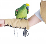 Papagoi kriimustusvastane &otilde;lakaitse Sall linnum&auml;he papagoidele kukeseened linnud jalav&otilde;ru Arm guard