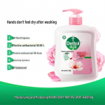 Dettol Moisturizing Care Healthy Antibacterial Hand Wash (3 x 500g)