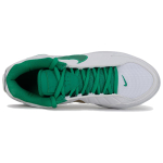 Nike LEBRON WITNESS IX Kulumiskindel Hingav Kulumiskindel Hingav Madalkorpuseline Korvpallijalatsid Meeste HQ8035-101 42.5 blue