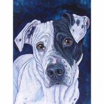 Uus 5D DIY Teemantmaal &Otilde;limaal Koer Teemanttikandid Rhinestones K&auml;sit&ouml;&ouml; T&auml;is&uuml;mmargune puur Kodukaunistus Kunst kingitus Full Round 15x20CM