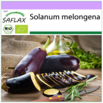SAFLAX &ndash; orgaaniline &ndash; baklažaan &ndash; pikk lilla &ndash; 20 seemet &ndash; solanum melongena