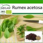 SAFLAX - Orgaaniline - Prantsuse hapuoblikas - 400 seemet - Potisubstraadiga paremaks kasvatamiseks - Rumex acetosa