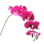 V&otilde;lts Phalaenopsis Exquisite Decorate Kangas Kaunis Real Touch Pulmakunstlill elutuppa