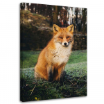 L&otilde;uenditr&uuml;kk Fox Forest Nature Animals 40x60 oranž