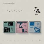 SEITSETEIST &ndash; 10. MINIALBUM [FML] [juhuslik versioon]