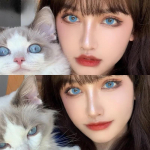 Sinised kontaktl&auml;&auml;tsed 2 tk / 1 paar Natural Daily Beauty Pupil Pehme ja mugav daamimeik Party Fashion Beauty Pupil 0.00 sinine