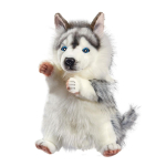 Koera nuku m&auml;nguasi (Husky)