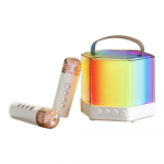 Karaokemasin mini juhtmevaba mikrofoni ja k&otilde;larite komplekt 2 mikrofoniga RGB v&auml;rvivalgus k&auml;eshoitav valge