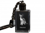 Peterbald - Crystal pendant with cat photo, illuminated pendant, unique gift by Art-Dog brand puhas
