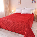 Korallifliisist tekk Linad Tepitud libisemiskindlad Kahekihilised flanelltekid Soojad tekid Vaba aja tekid Konditsioneer Tekid 200*230cm punane