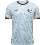 PUMA Palermo Jalgpallis&auml;rk 1 Meeste 782855-03 XL gray