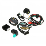 ELEKTRIjuhtmestiku CDI m&auml;hise KOOSTAMINE 50-110CC 125CC ATV QUAD BUGGY komplektile