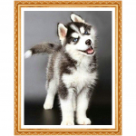 Tee ise, teemanttikandid Husky, koer, 5d teemantmaali loomad T&auml;isteemantkividest ristpistes 20X30CM