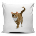 kassipoegade foto Padja kate Armas armas kass Padjap&uuml;&uuml;r Diivan Viska Padjakate Looma Tr&uuml;kitud Pulma Kodu Dekoratiiv Cojines Fundas 450mm x 450mm