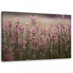 Feeby l&otilde;uenditr&uuml;kk, roosad lilled 60x40 lilla