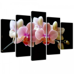 Viieosalise pildiga l&otilde;uenditr&uuml;kk Pink Orchid 100x70 roosa