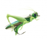 Putukate rohutirts must kala hobusesuu v&otilde;ltss&ouml;&ouml;t kiskja kalap&uuml;&uuml;gi vobler plastist kunstlik s&ouml;&ouml;t 3D silma Luya peibutis