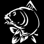 Veekindlad karpkalap&uuml;&uuml;gi autode kujundamise kleebised veoauto kajaki paadi kleebised Dekoratsioon valge