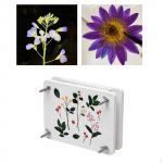 Press Flower Set DIY pressitud lillede reljeeft&ouml;&ouml;riist 21cmx16cm pressimine