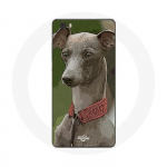 Huawei P8 Lite Greyhound Greyhoundi &uuml;mbris