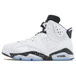 Air Jordan 6 Retro Reverse Oreo Meeste tossud Valge Must CT8529-112 41 white