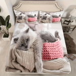 Kummiga lina Armas kassitr&uuml;kiga Pehme ja mugav Hingav voodipesu Madratsikaitse Kate Sobib magamistubadesse k&uuml;lalistetubadesse 2PCS Pillowcase48x74
