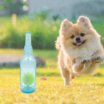 Vastupidav veepudeli m&auml;nguasi koertele, ideaalne n&auml;rimiseks ja viskamiseks S punane