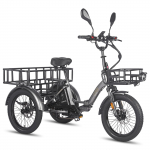 Elektriline kaubaratas FAFREES F20 Mate 20 750W mootor Ebike Kokkupandav Tippkiirus 30Km/h S&otilde;iduulatus 115Km Kandev&otilde;ime 180KG Luxury hall