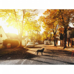 Teemantmaal ristpistes koer maanteel ja s&uuml;gishooajal t&auml;ispuur Teemanttikandid 20X30CM