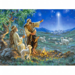 T&auml;isringpuur Teemanttikandid Religioosne teemantmaal Sheperd Jesus Crosstitch n&auml;put&ouml;&ouml; 20X30CM
