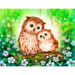 5D DIY teemantmaal Paar &ouml;&ouml;kullid Tikand Ristpistes Rhinestone Mosaiic Kodukaunistus 20X30CM