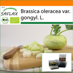 SAFLAX - Aed kotis - Mahe - Naeris - Super Melt - 20 seemet - Substraadiga sobivas p&uuml;stises kotis - Brassica oleracea